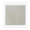 BIATAIN Alginate 15x1510pz3715