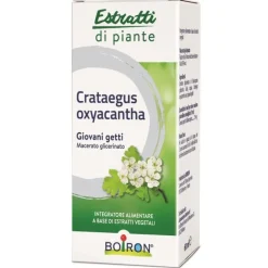 Boiron Crataegus Oxyacanthia 1DH Macerato Glicerinato 60 ml - Medicinale Omeopatico