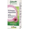 Boiron Echinacea Angustifolia Estratto Idroalcolico 60 ml - Medicinale Omeopatico