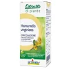 Boiron Hamamelis Virginiana Estratto Idroalcolico 60 ml - Medicinale Omeopatico