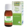Boiron Ribes Nigrum Macerato Glicerinato 60 ml - Medicinale Omeopatico