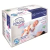 Dermacotone Coppette Assorbilatte 60 Pezzi