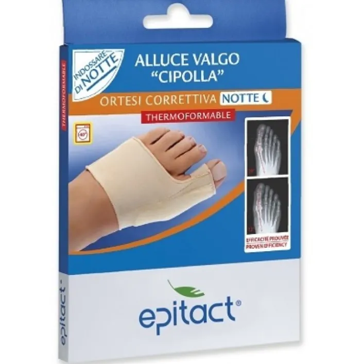 EPITACT Ort.Corr.A-Valgo Ntt L
