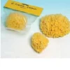 Farmac-Zebban Spugna Naturale di Mare n°4 Extra Grande
