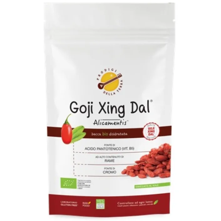 Goji Xing Alicamentis Bio 190 grammi