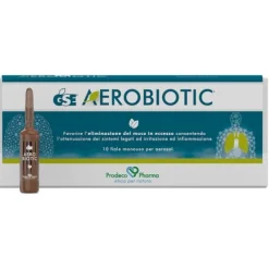 Gse Aerobiotic 10 Flaconcini - Soluzione per Aerosol