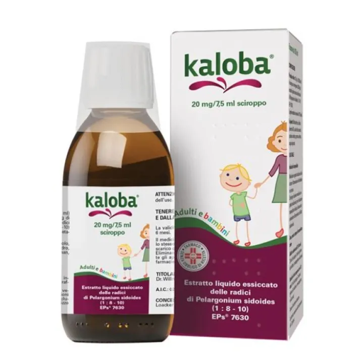 Kaloba Sciroppo Raffreddore 20 mg/7,5 ml 100 ml