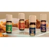 Map Olio Aroma Vata 10 ml