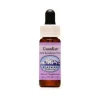 Natur Guardian Essenza Alaska 7,4 ml