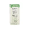 Pilosella Tintura Madre Gocce Sarandrea 60 ml