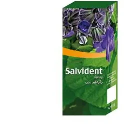 Salvadent Soluzione Idroalcolica Spray 30 ml