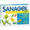 Sanagol Gola Voce Erisimo Caramelle Balsamiche Senza Zucchero Limone 24 Pezzi