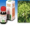 Specchiasol Angelica 55 Tintura Madre 50 ml