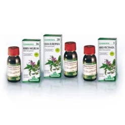 Specchiasol Gemmosol 24 Fico 50 ml