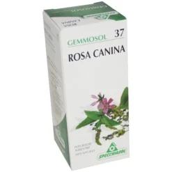 Specchiasol Gemmosol 37 Rosa Canina 50 ml
