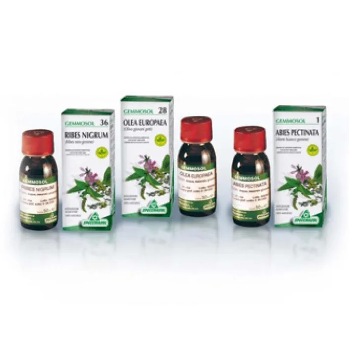Specchiasol Gemmosol 46 Tiglio 50 ml