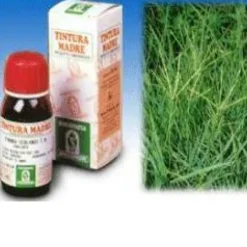Specchiasol Gramigna 37 Tintura Madre 50 ml