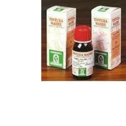 Specchiasol Soluzione Idroalcolica 61 Erisimo 50 ml