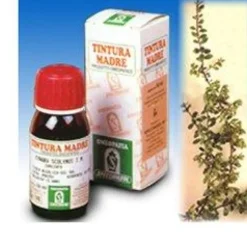 Specchiasol Uva Ursina 30 Tintura Madre 50 ml
