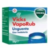 Vicks Vaporub Canfora Unguento per Uso Inalatorio 50 grammi
