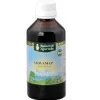 Vidyamap Sciroppo 200 ml - Integratore Memoria