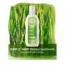 Weleda Germe di Grano Shampoo Equilibrante Capelli con Forfora 190 ml
